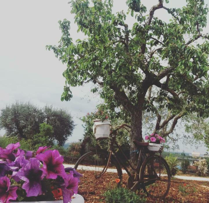 Trulli Di Nonna Palma Villa Locorotondo Buitenkant foto